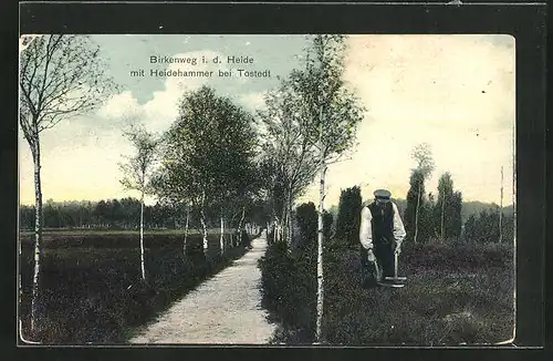 AK Tostedt, Birkenweg in der Heide mit Heidehammer