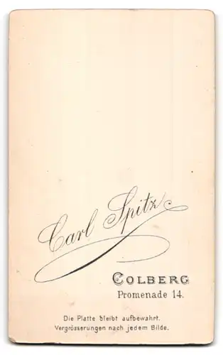 Fotografie Carl Spitz, Colberg, Promenade 14, Älterer Mann im Anzug mit grauem Oberlippenbart