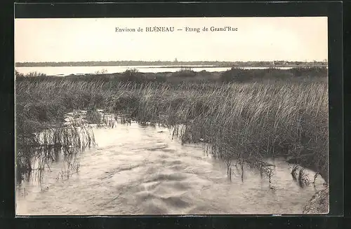 AK Bleneau, Etang de Grand`Rue, Schilflandschaft am Ufer