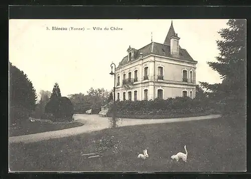 AK Bleneau, Villa du Chene, Hase und Katze auf der Wiese