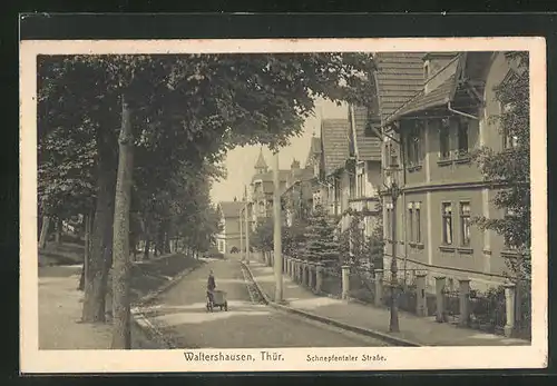 AK Waltershausen / Thüringen, Schnepfentaler Strasse