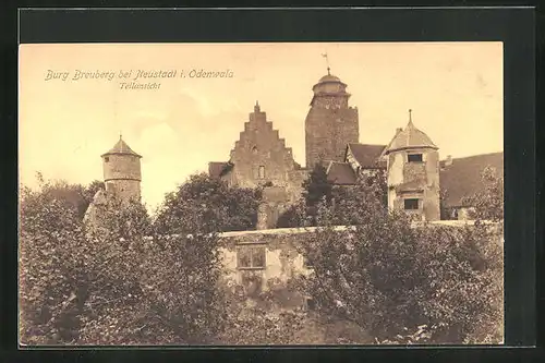 AK Neustadt im Odenwald, Teilansicht der Burg Breuberg
