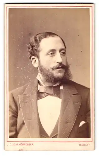 Fotografie J. C. Schaarwächter, Berlin, Friedrichstr. 190, Portrait stattlicher Herr mit Bart im Jackett