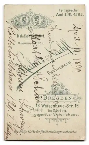 Fotografie Hahn's Nachf., Dresden, Waisenhausstr. 16, Portrait schönes Fräulein mit Dutt