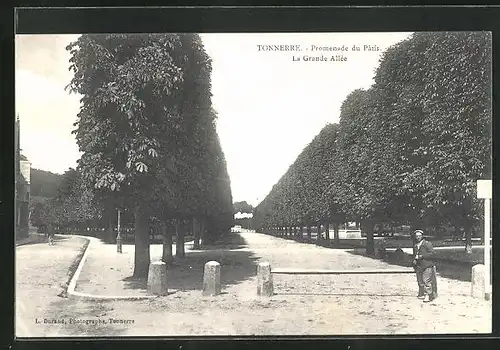 AK Tonnerre, Promenade du Patis, la Grande Allee