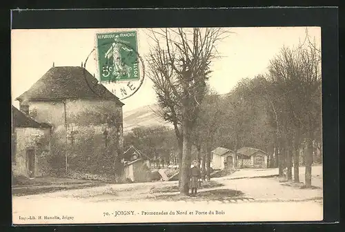 AK Joigny, Promenades du Nord et Porte du Bois