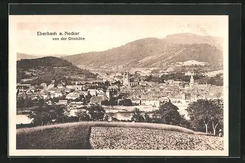 AK Eberbach / Neckar, Panoramablick von der Ottohöhe