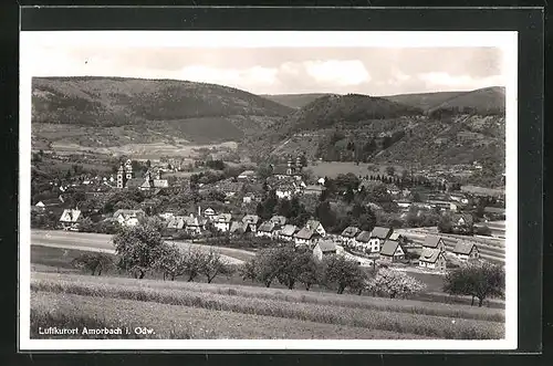 AK Amorbach / Odenwald, Blick von der Bergwiese auf den Ort