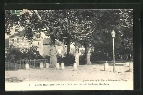 AK Villeneuve-sur-Yonne, Les Promenades du Boulevard Gambetta