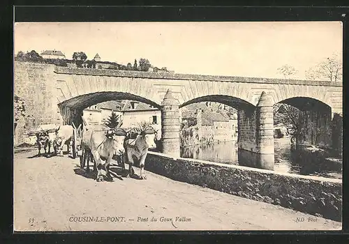 AK Avallon, Pont du Gour Vallon, Cousin-le-Pont