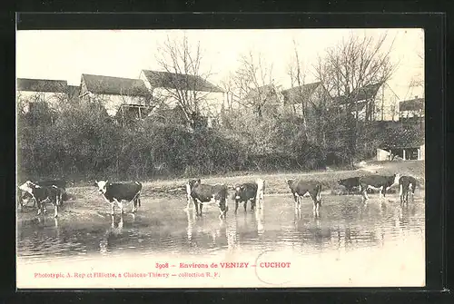 AK Cuchot, Les Vaches au bord de la rivière