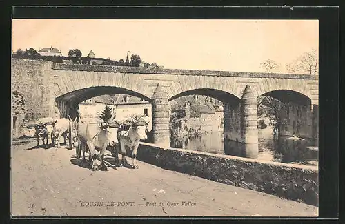 AK Cousin-le-Pont, Pont du Gour Vallon