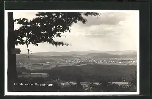 AK Neukirch / Lausitz, Blick vom Pirschken