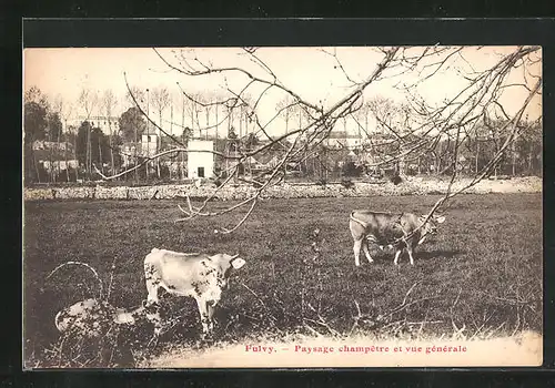 AK Fulvy, Paysage champêtre et vue générale