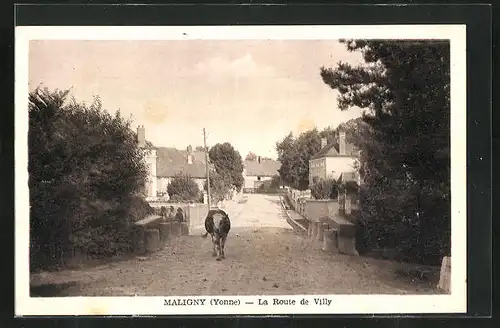 AK Maligny, La Route de Villy