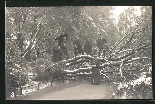 AK Zürich, Verheerungen durch Schneefall 1908