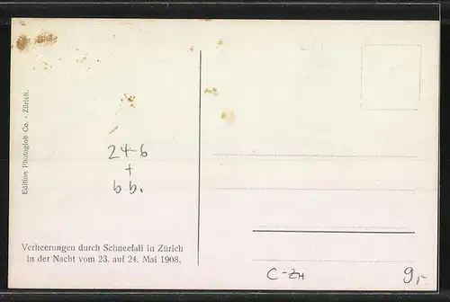 AK Zürich, Verheerungen durch Schneefall 1908