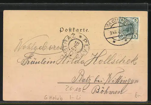 Künstler-AK sign. G. Holub: Rapallo, Sarazenen-Turm