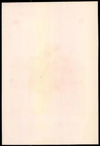 Lithographie Königreich Frankreich, altkoloriert, montiert, aus Eckert & Monten um 1840 Vorzugsausgabe, 36 x 24cm