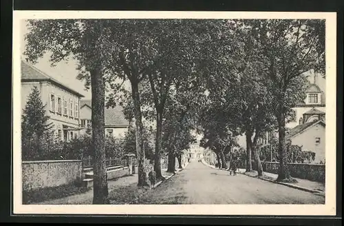 AK Saarbuckenheim, Karl Roos Strasse