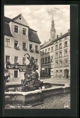 AK Zittau i. Sa., Neumarkt mit Geschäften und Brunnen