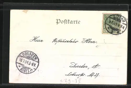 Passepartout-Lithographie Zittau, Kaiserliches Postamt, Höhere Webschule, Das Johanneum, Kleeblatt