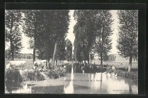 AK Courtois, Un coin de la Prairie