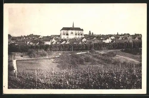 AK Coulanges-la-Vineuse, Vue générale