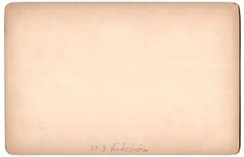 Fotografie F. & O. Brockmann, Dresden, Ansicht Rüdesheim, National-Denkmal auf dem Niederwald, Relief Das Wiedersehen
