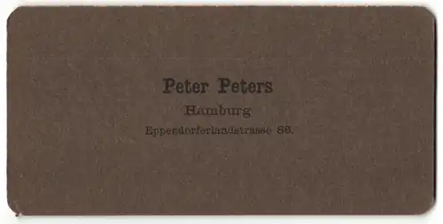 Stereo-Fotografie Peter Peters, Hamburg, Ansicht Bingen, Schloss Rheinstein