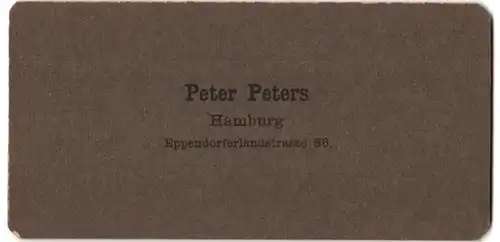 Stereo-Fotografie Peter Peters, Hamburg, Ansicht Kairo, Palmenwald am Stadtrand