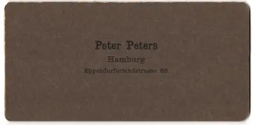 Stereo-Fotografie Peter Peters, Hamburg, Ansicht Schaffhausen, Rheinfall - Wasserfall