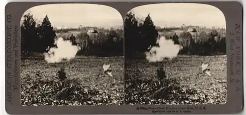 Stereo-Fotografie American Stereoscopic Co. New York, Jäger hat eine Wachtel geschossen, Wachtel-Jagd