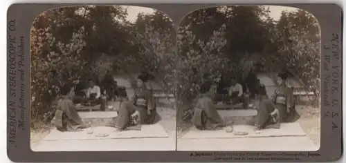 Stereo-Fotografie American Stereoscopic Co. New York, Japaner beim Picknick unter Kirschbäumen