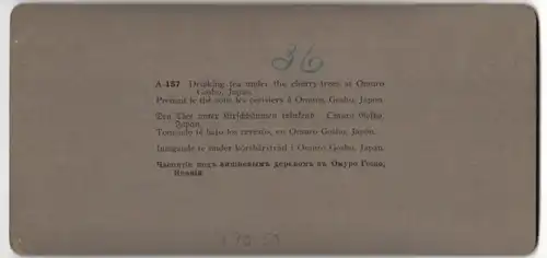 Stereo-Fotografie American Stereoscopic Co. New York, Japaner beim Picknick unter Kirschbäumen