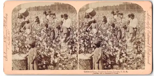 Stereo-Fotografie Underwood & Underwood, New York, Afro-Amerikaner ernten Baumwolle in Georgia