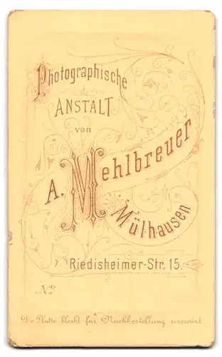 Fotografie A. Mehlbreuer, Mülhausen, Riedisheimer-Strasse 15, Portrait junge Dame in modischer Kleidung