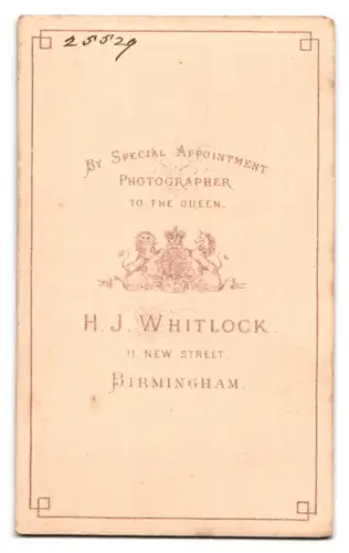 Fotografie HJ Whitlock, Birmingham, 11 New Street, Fräulein mit Hochsteckfrisur