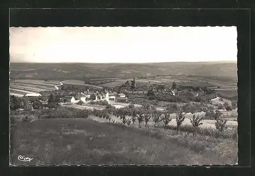 AK Coulanges-la-Vineuse, Vue générale