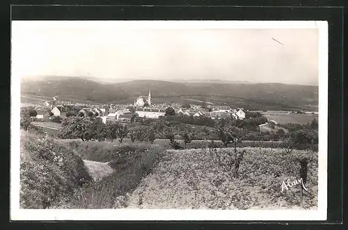 AK Coulanges-la-Vineuse, Vue prise de Saint-Pierre