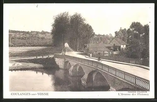 AK Coulanges-sur-Yonne, L`Avenue des Platanes