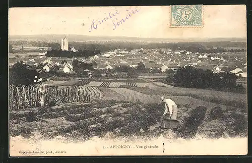 AK Appoigny, Vue générale