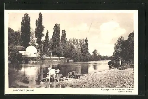 AK Appoigny, Paysage aux Bords de l`Yonne