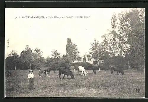 AK Aisy-sur-Armancon, En Champs les Vaches près des Forges