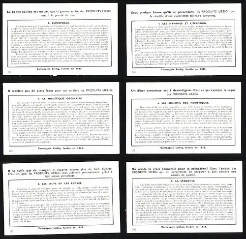 6 Sammelbilder Liebig, Serie Nr. 1447: Les Moustiques, L`Anophéle, Les Nymphes et l`Éclosion, La Stégomie