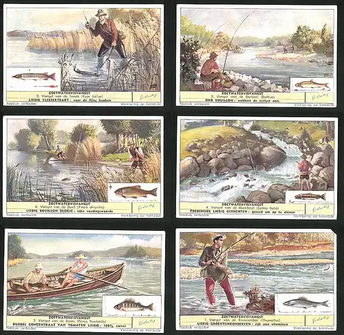 6 Sammelbilder Liebig, Serie Nr. 1623: Zoetwatervisvangst, Thymallus, Perca fluviatilis, Salmo fario, Barbus