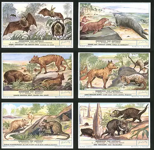 6 Sammelbilder Liebig, Serie Nr. 1612: Zoogdieren van Australie, Mierenegel, Wallaby, Kangoeroe-rat, Dingo, Wombat