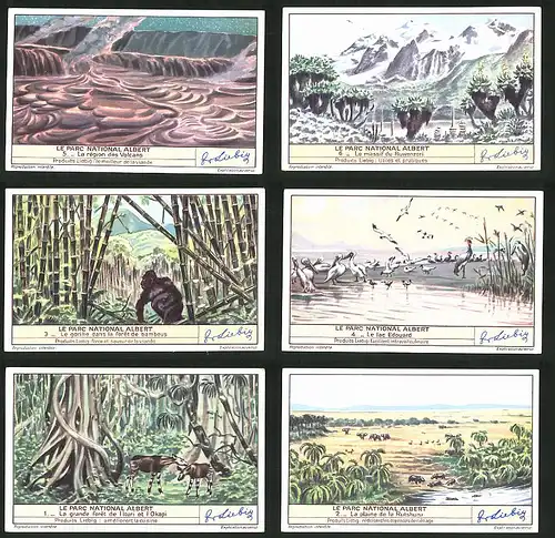 6 Sammelbilder Liebig, Serie Nr. 1418: Le Parc National Albert, Vulkan, Elefanten, Wüste, Gorilla