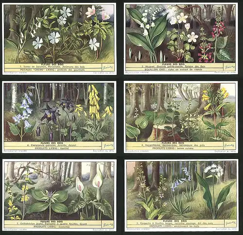 6 Sammelbilder Liebig, Serie Nr. 1568: Fleurs des Bois, Pervenche, Anémone, Muguet, Ancolie, Aconit, Majanthéme
