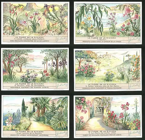 6 Sammelbilder Liebig, Serie Nr. 1354: La Flore de la Riviera, San Remo, Oliviers, Menton